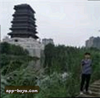 张磊